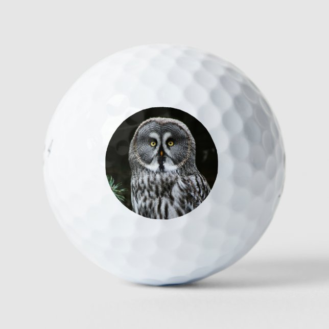 Die große graue Eule ist 6 gbcna Golfball (Vorderseite)