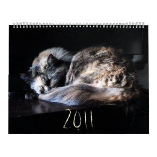 Die große Katzenbedrohung Kalender