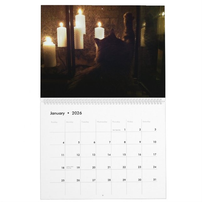 Die große Katzenbedrohung Kalender (Jan 2026)