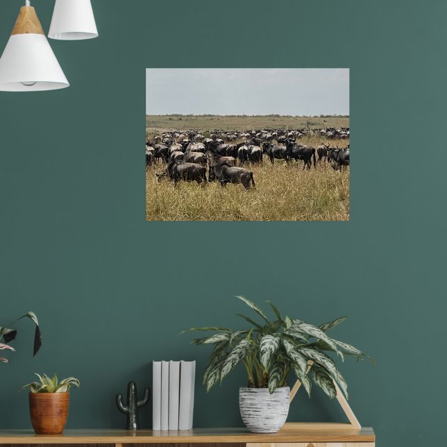 Die Große Migration – Afrikanisches Wildebeest-Fot Poster (Wohnzimmer 1)