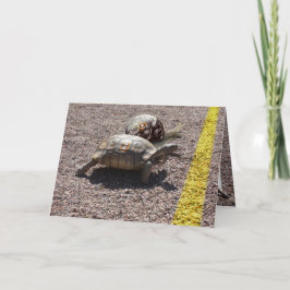 Die große Schildkröte und das Schneckenrennen Karte