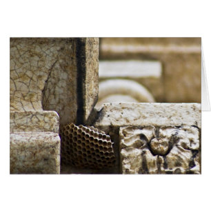 Die großen Architekten