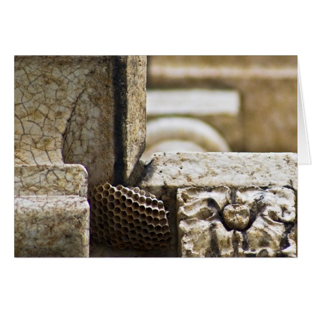 Die großen Architekten (Vorderseite (Horizontal))