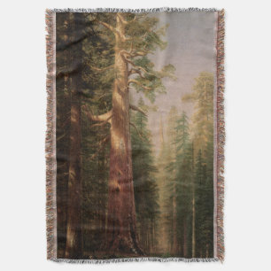 Die großen Bäume, Mariposa Grove, CA von Bierstadt Decke