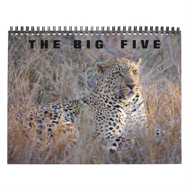 DIE GROSSEN FÜNF KALENDER (Titelbild)