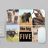 Die großen fünf Wildtiere Afrikanische Safari-Foto