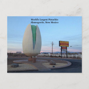 Die größte Pistachio der Welt Postkarte