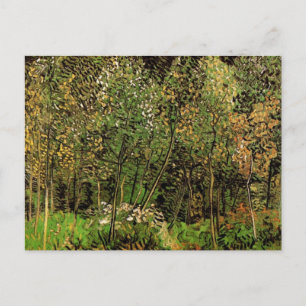 Die Grove von Vincent van Gogh Postkarte