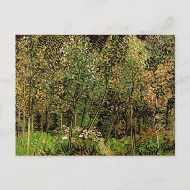 Die Grove von Vincent van Gogh Postkarte (Vorderseite)