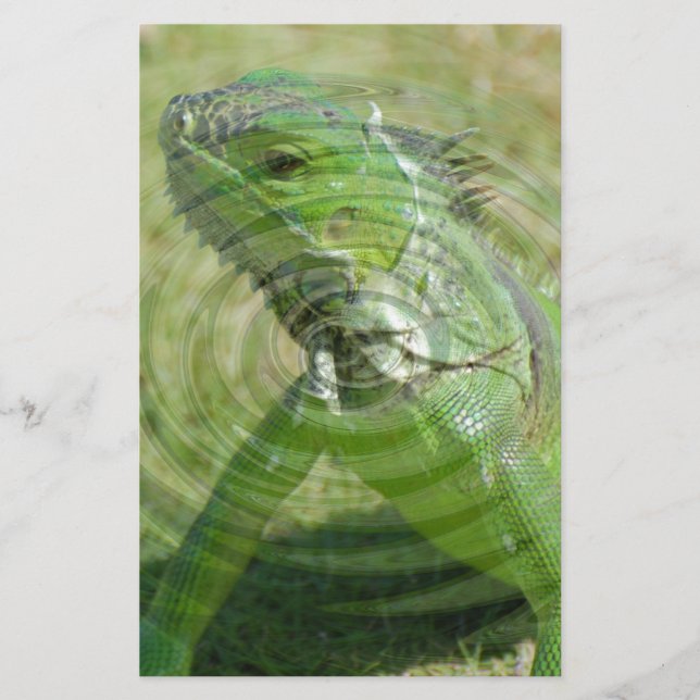 Die grüne Iguana Briefpapier (Vorderseite)