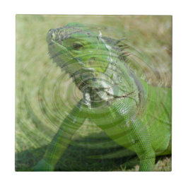 Die grüne Iguana Fliese