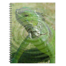 Die grüne Iguana