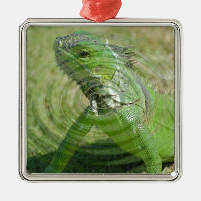 Die grüne Iguana Silbernes Ornament (Vorne)