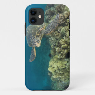 Die Grüne Meeresschildkröte, (Chelonia mydas), ist Case-Mate iPhone Hülle