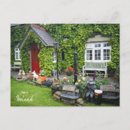 Die Grünen von Westport - Irland Postkarte