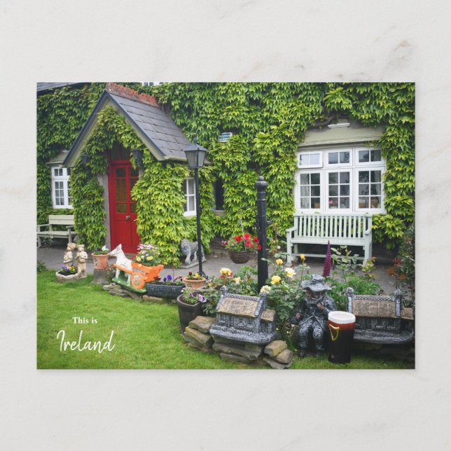 Die Grünen von Westport - Irland Postkarte (Vorderseite)