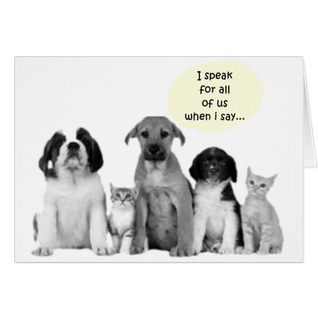 DIE GRUPPE SPRICHT UNTER "40!" AUS. (Vorderseite (Horizontal))