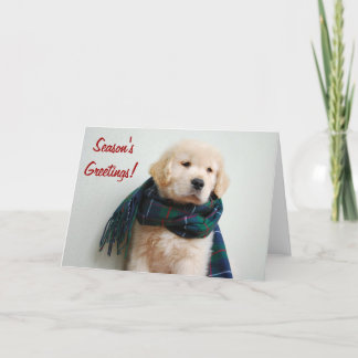 Die Gruß-Feiertags-Karte der Jahreszeit Feiertagskarte