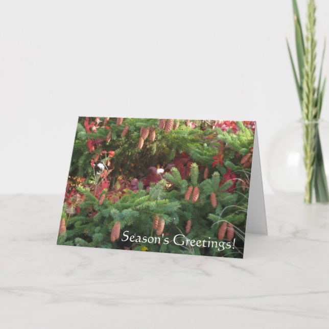 Die Grüße der Saison Feiertagskarte (Vorderseite)