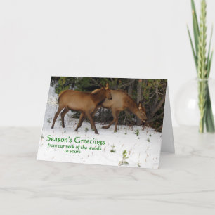 Die Grüße der Saison Feiertagskarte