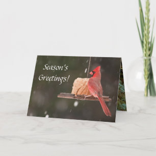 Die Grüße der Saison! Weihnachtskarten Feiertagskarte