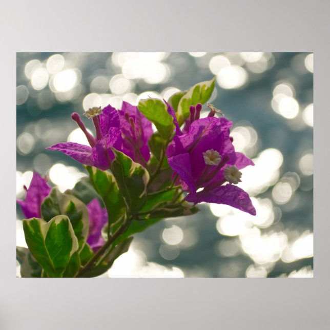 Die Grüße Frühlingsblumen Bokeh Poster (Vorne)