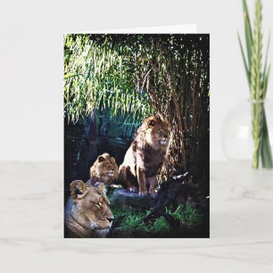 Die Grusskarte für den Stolz Karte