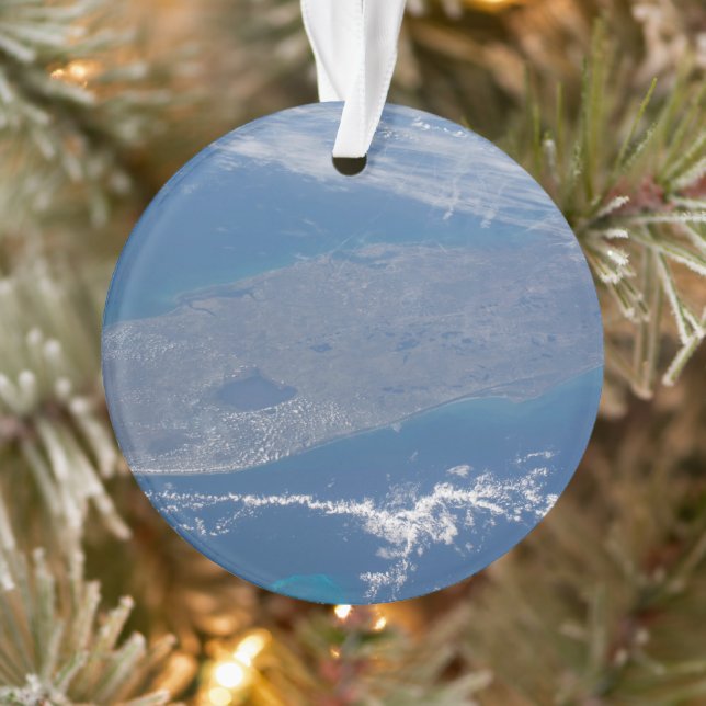 Die Halbinsel Florida. Ornament (Baum)