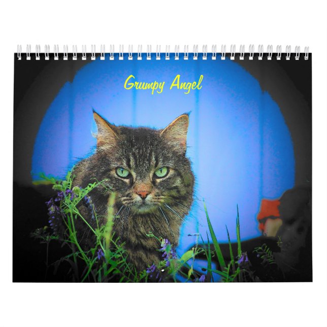 Die Haltung des mürrischen Engels 16-monatig Kalender (Titelbild)