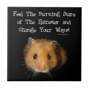 Die Hamster-Starren Fliese