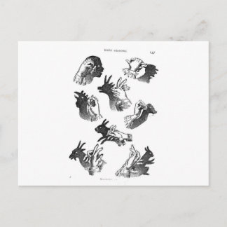 Die Händeschatten der Mauer Postkarte