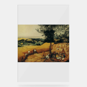 Die Harvesters von Pieter Brueghel the Elder Acrylschild
