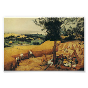 Die Harvesters von Pieter Brueghel the Elder Fotodruck