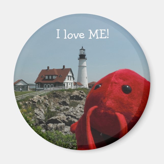 Die Hauptlinie Magnet (Vorne)