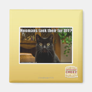 Die Häuser verziehen sich. Magnet