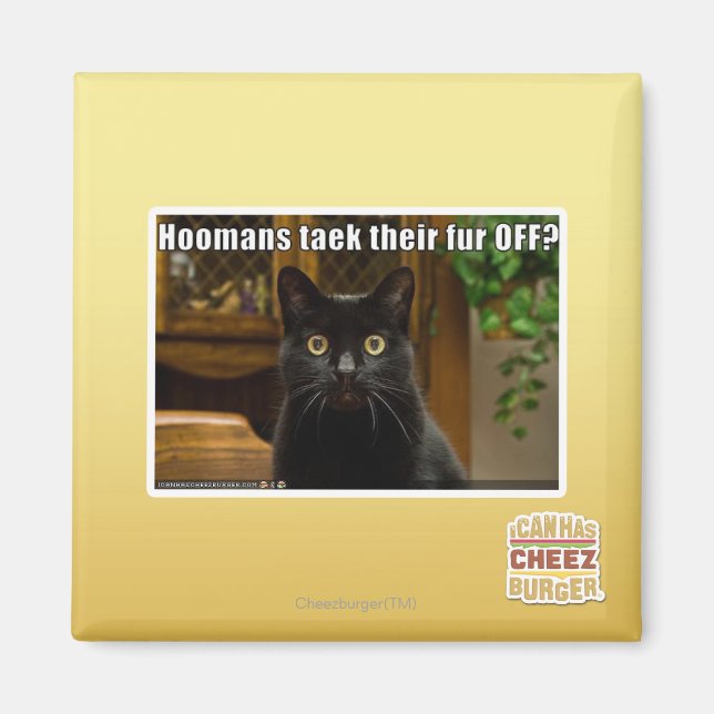 Die Häuser verziehen sich. Magnet (Vorne)