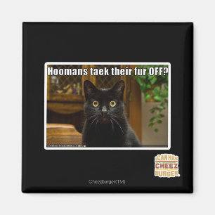 Die Häuser verziehen sich. Magnet