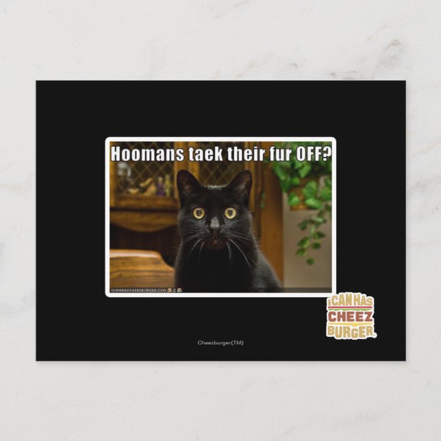 Die Häuser verziehen sich. Postkarte (Vorderseite)