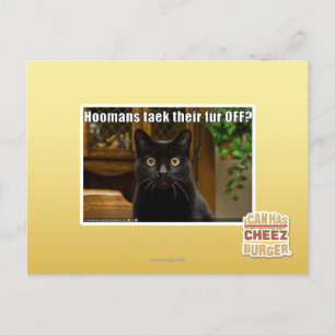 Die Häuser verziehen sich. Postkarte