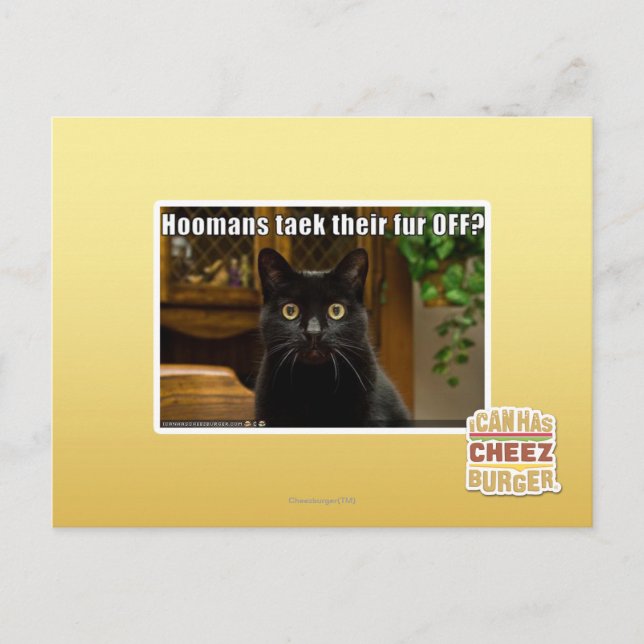 Die Häuser verziehen sich. Postkarte (Vorderseite)