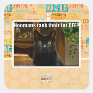 Die Häuser verziehen sich. Quadratischer Aufkleber