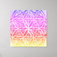 Die heiligen Blueprints | Miami Sunset, Samen des