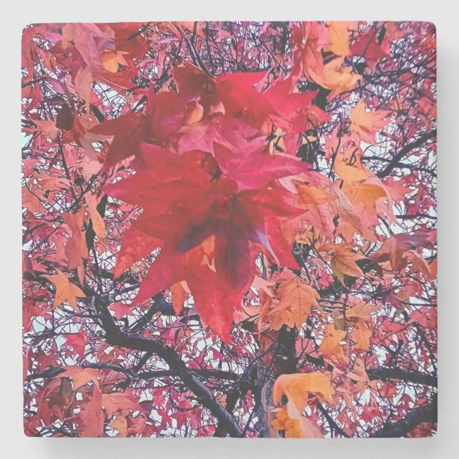 Die hellen Herbstblätter Steinuntersetzer (Vorderseite)