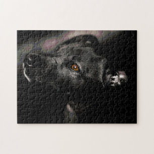 Die Herausforderung für fast alle Black Sweet Dog  Puzzle