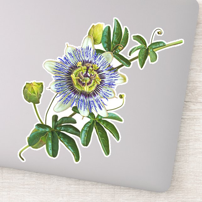 Die Herb-Passionblume | Vinyl Sticker (Detail)