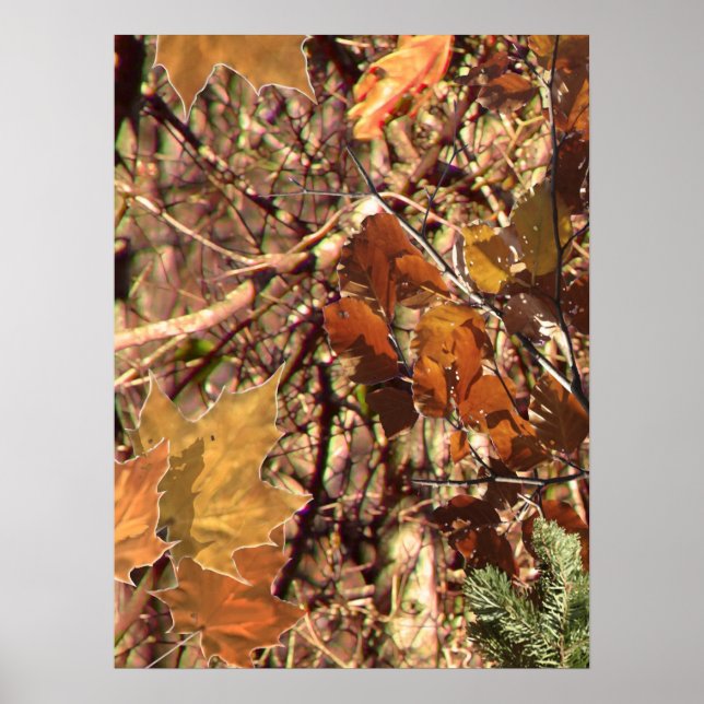 Die Herbstfarben von Jägern in Camouflage Poster (Vorne)
