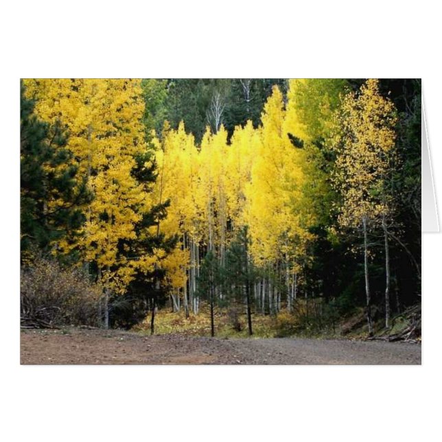 Die Herbstfarben waren groß (Vorderseite (Horizontal))