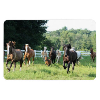 Die Herde und der Herdmaster Magnet