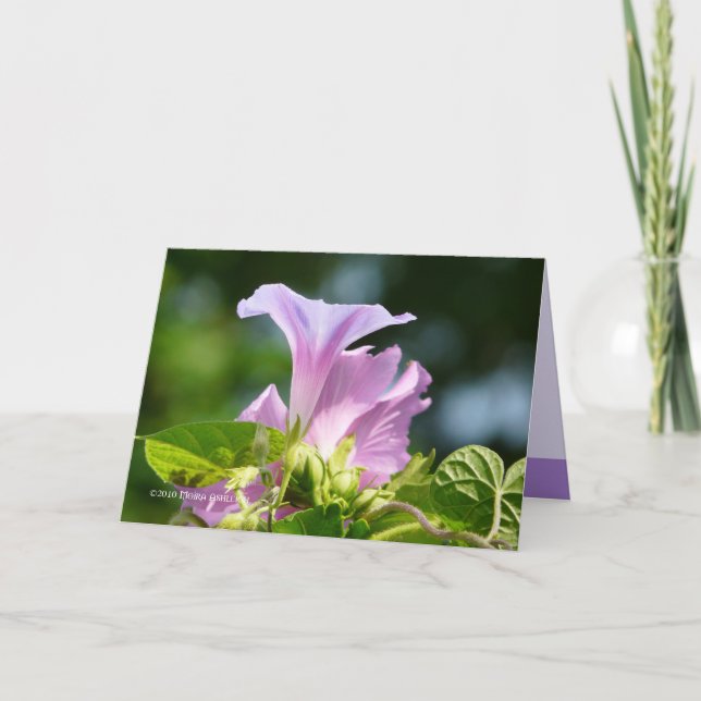 Die Herrlichkeit des Morgens 2 Karte (Vorderseite)