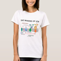 Die Herstellung von Atp (fotosynthetische Haltung)